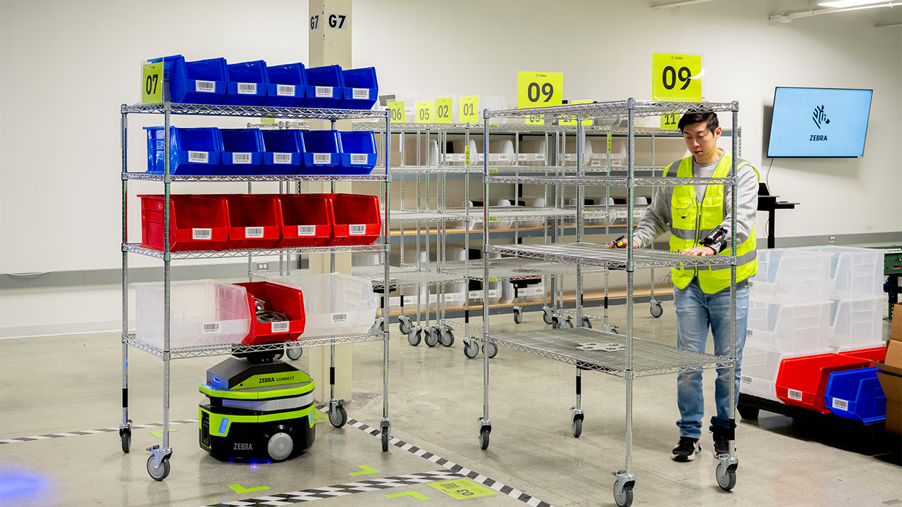 Zebra Symmetry Fulfillment Induction with Decoupled Carts