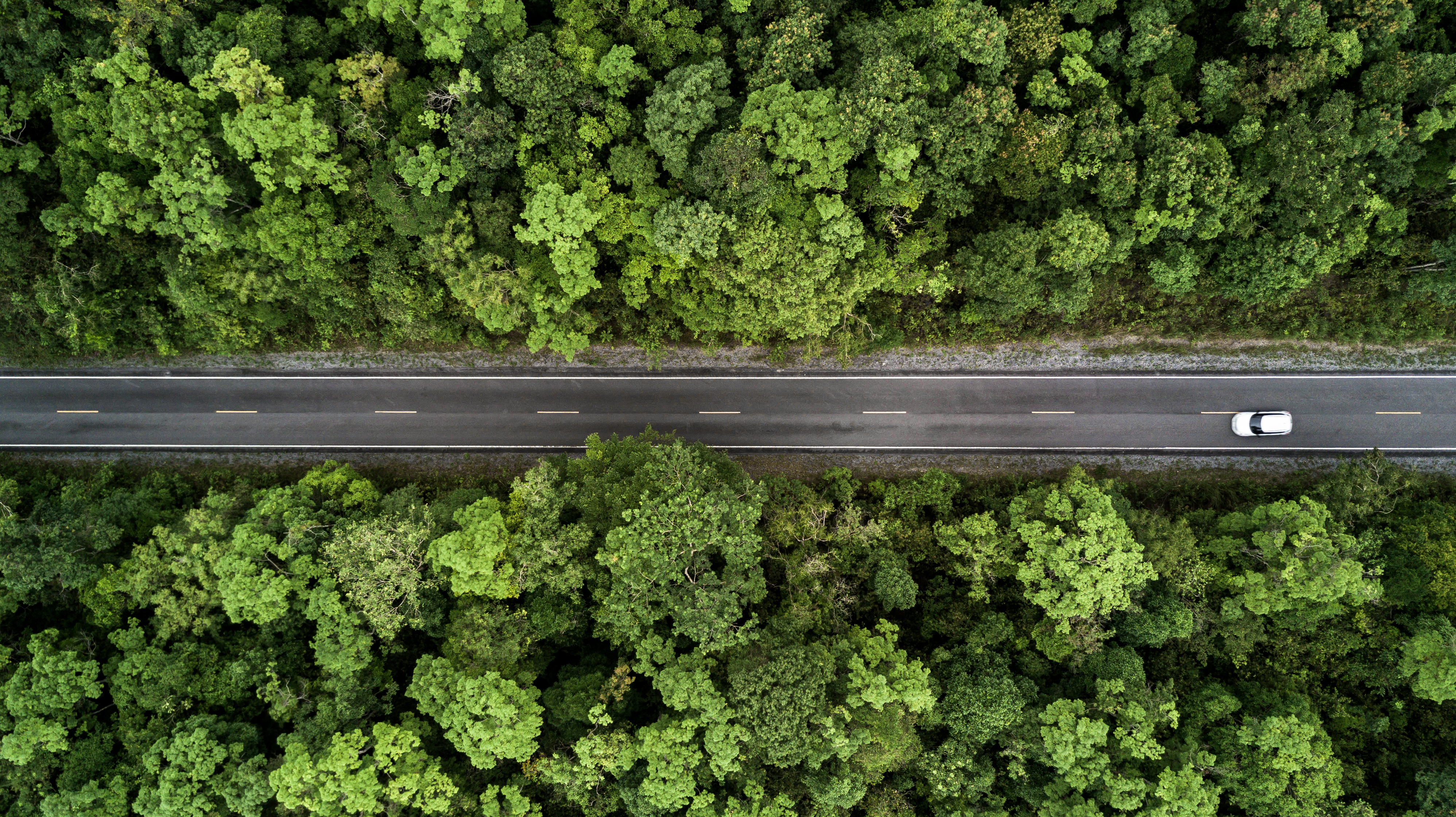 Aerial view road going through forest, Road through the green forest, Aerial top view car in forest, Texture of forest view from above, Ecosystem and healthy environment concepts and background.