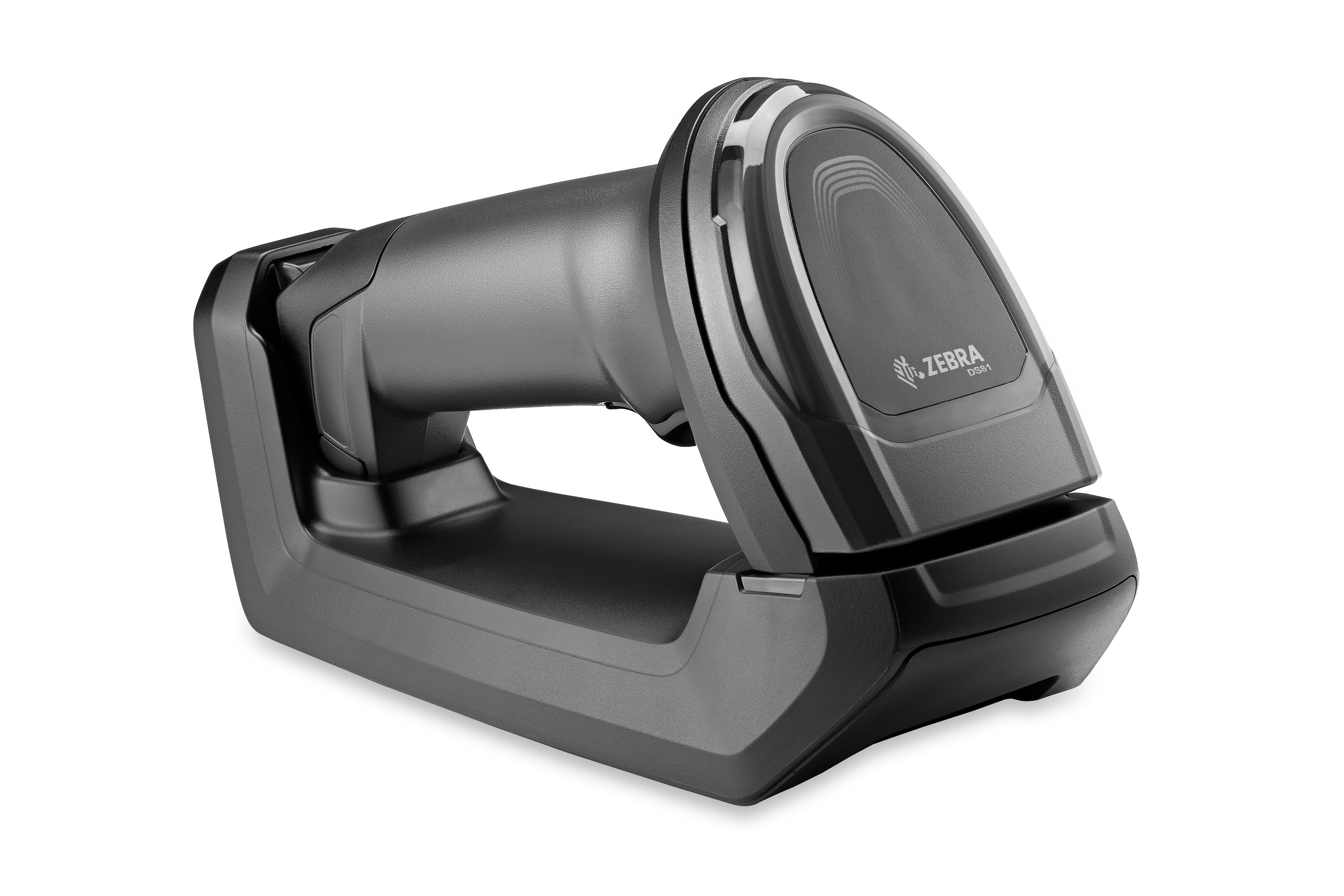 Картина Зебра Штрих Код Купить