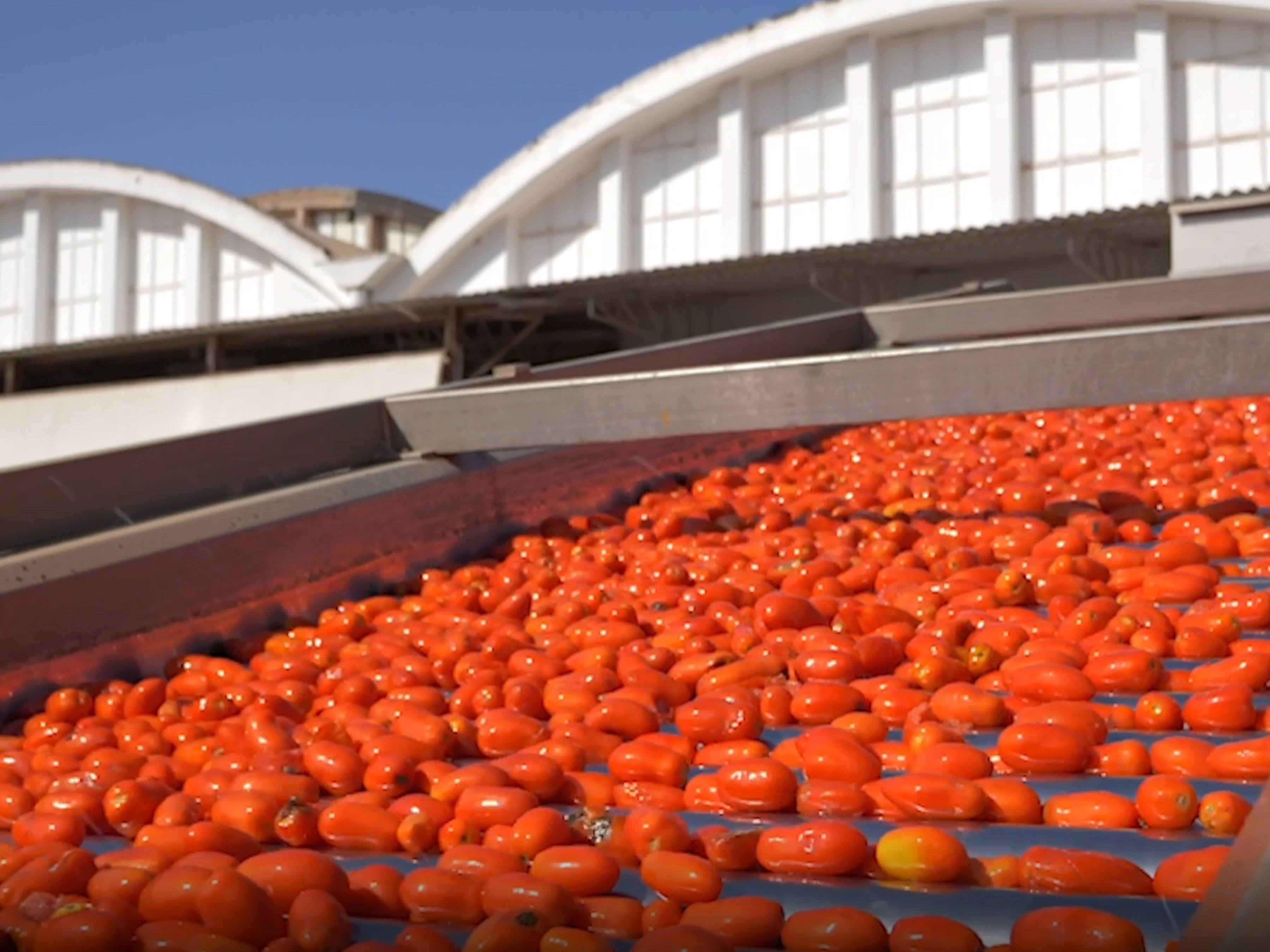 Casar tomato factory in Sardinia, Italy