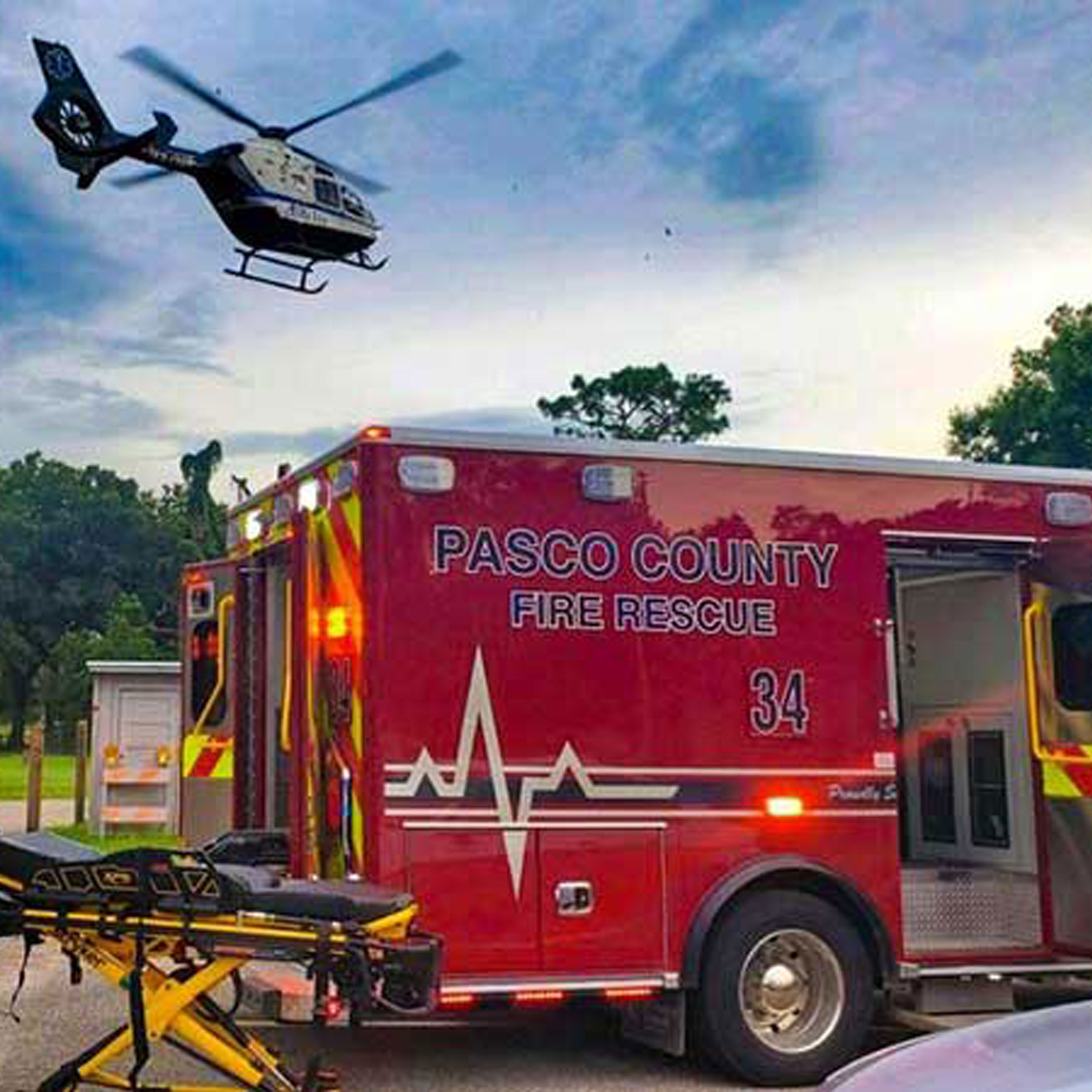 Pasco County Fire Rescue Zebra