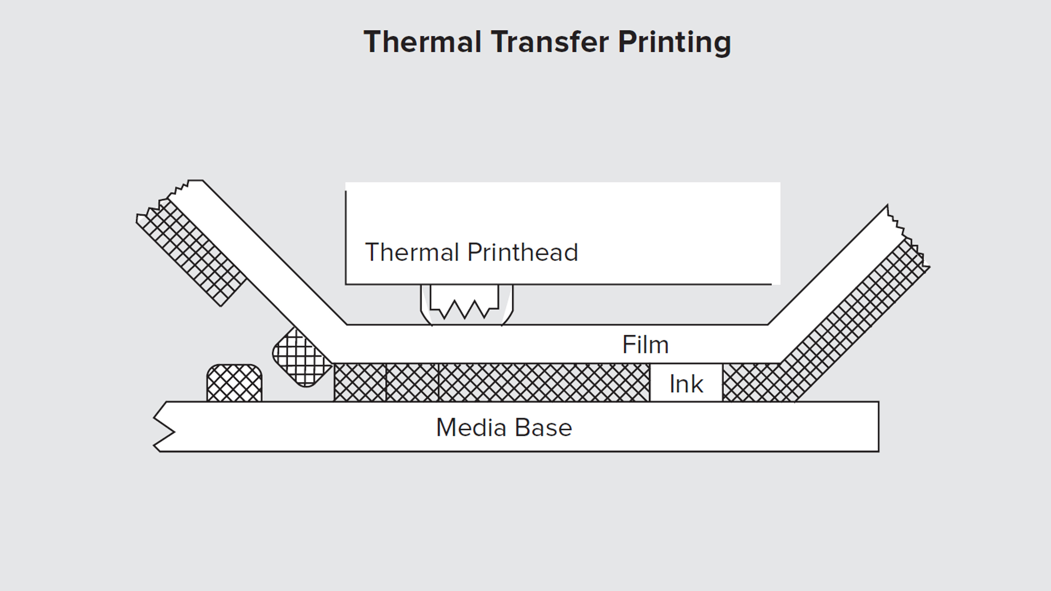 The Difference Between Direct Thermal vs Thermal Transfer Printers