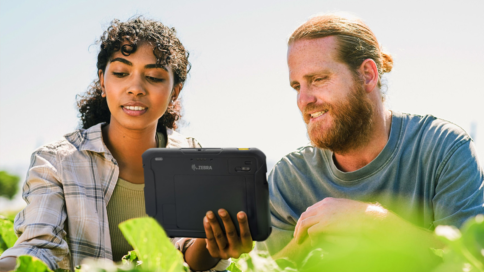 2 farm workers are using a Zebra tablet while inspecting a crop field