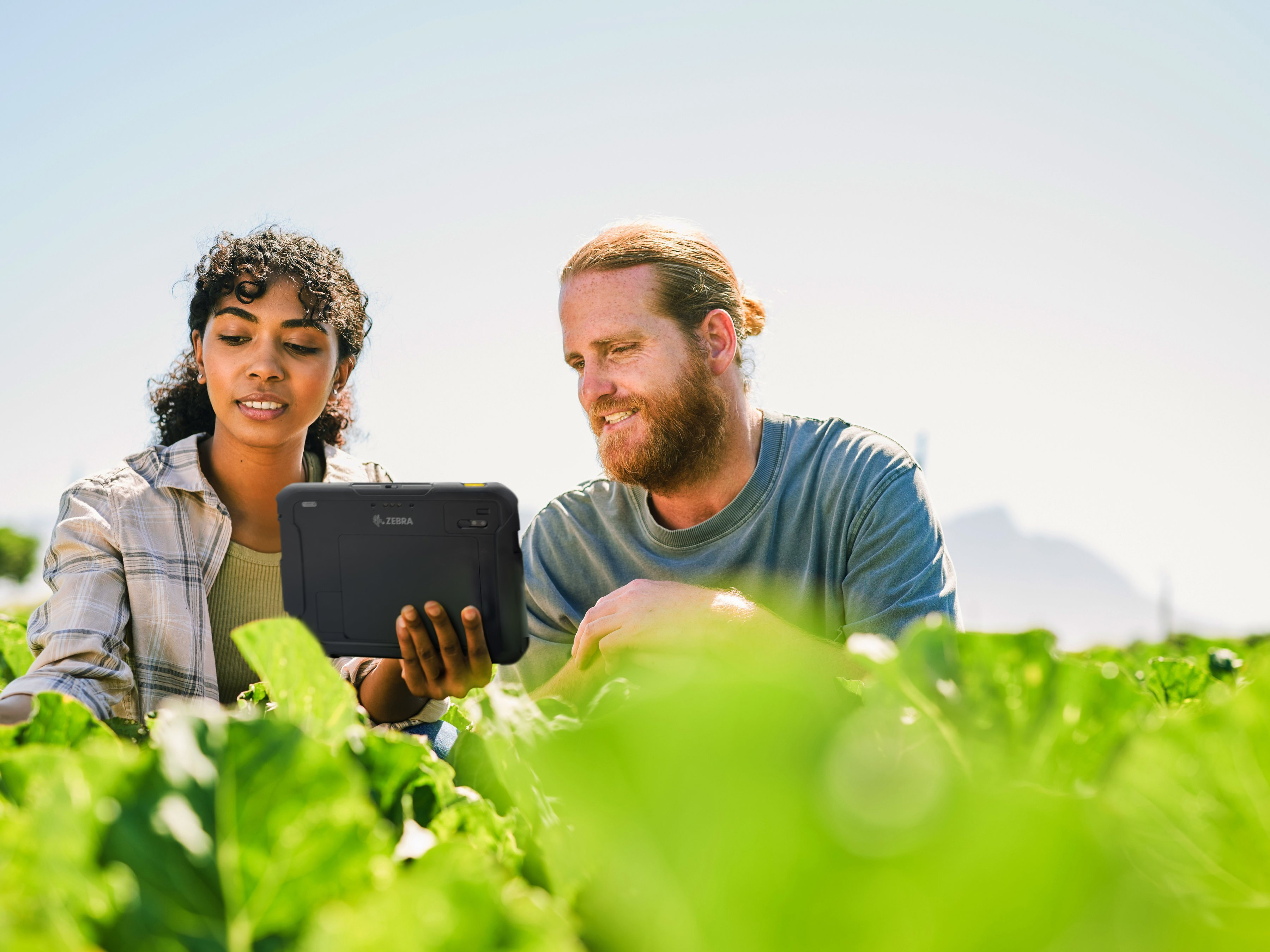 2 farm workers are using a Zebra tablet while inspecting a crop field