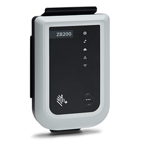 ZB300 Bridge