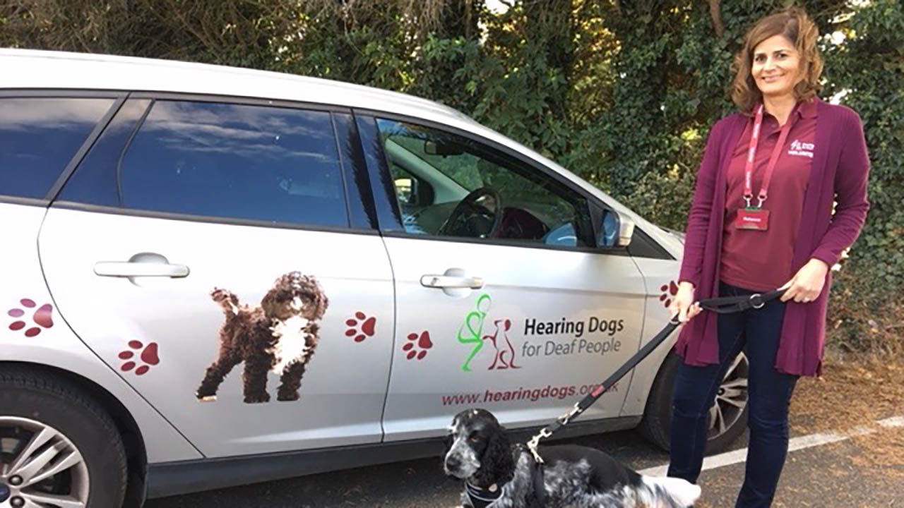 Becky Brookes and her dog stand in front of a car owned by the Hearing Dogs for the Blind organization