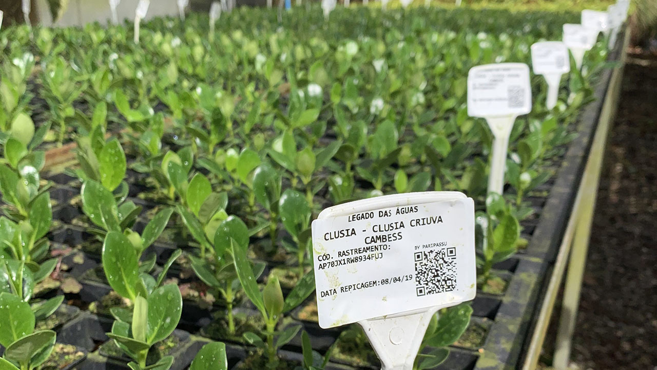Seed markers used by Project Green Code
