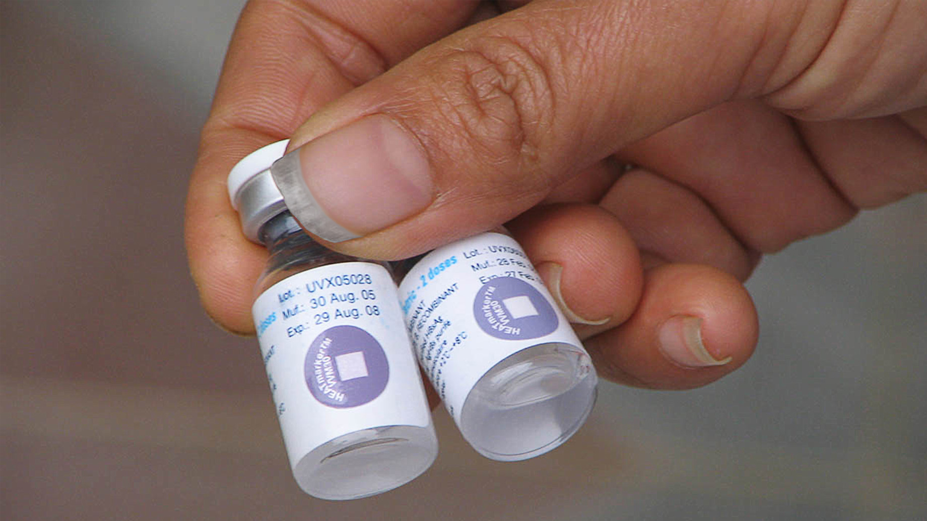 Heat Indicators and Time Temperature Indicators