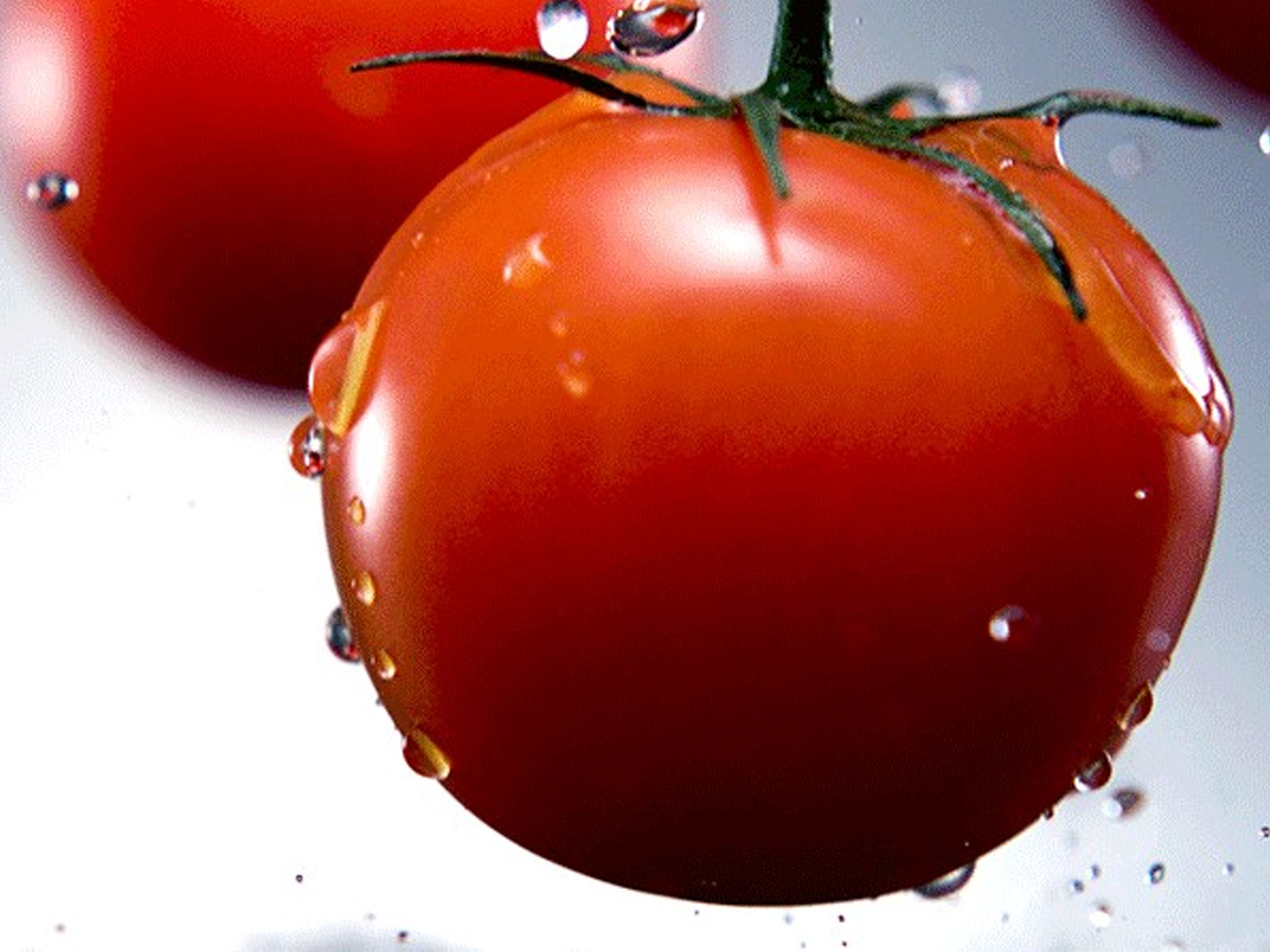 Food and Beverage Manufacturing Video Preview, 43, 3600