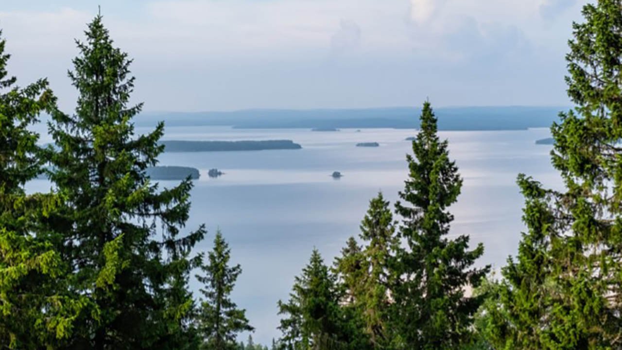 A lake and forest