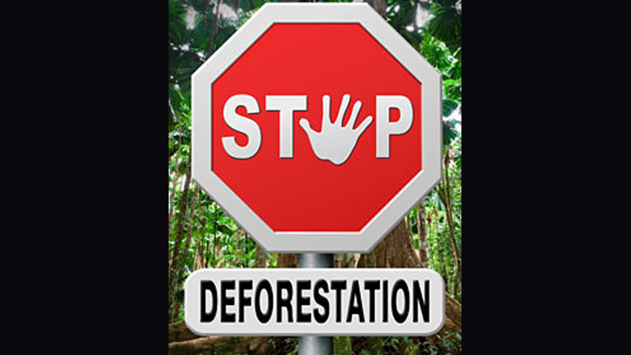 A "stop deforestation" sign
