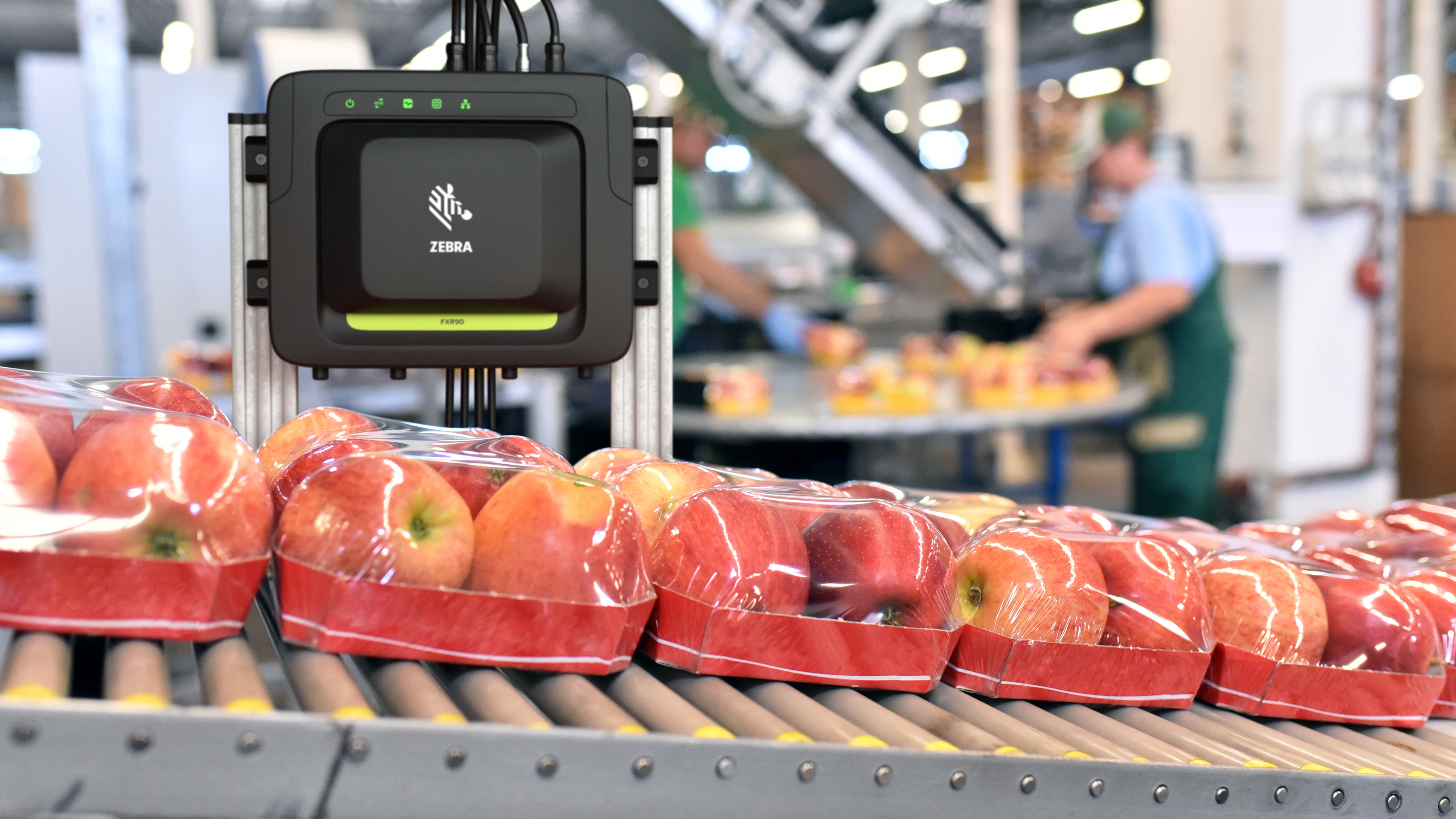 Packaged apples going through manufacturing process with a Zebra RFID Scanner