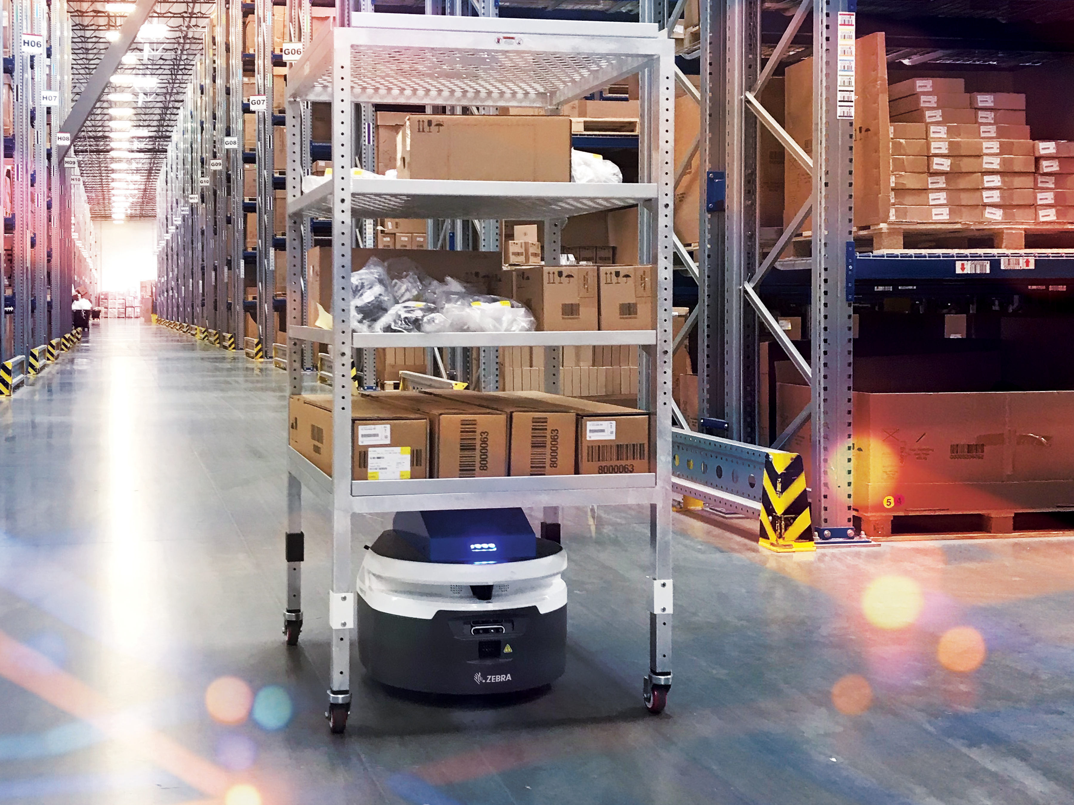 Zebra mobile robot carrying boxes in a warehouse
