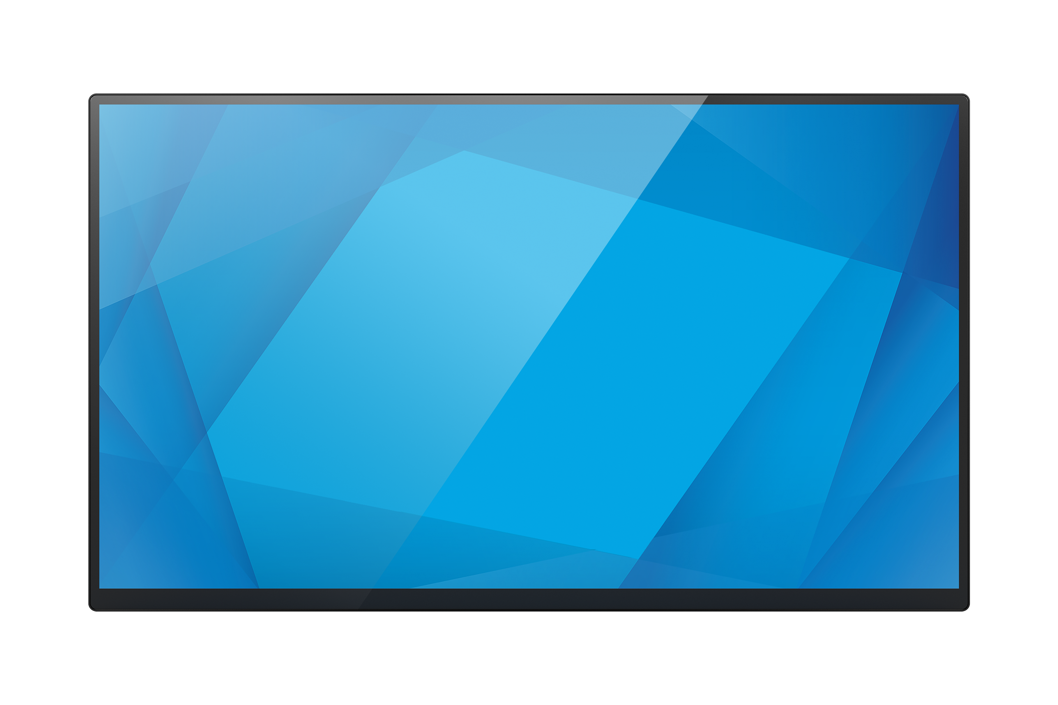 Front of 2410L Monitor in black