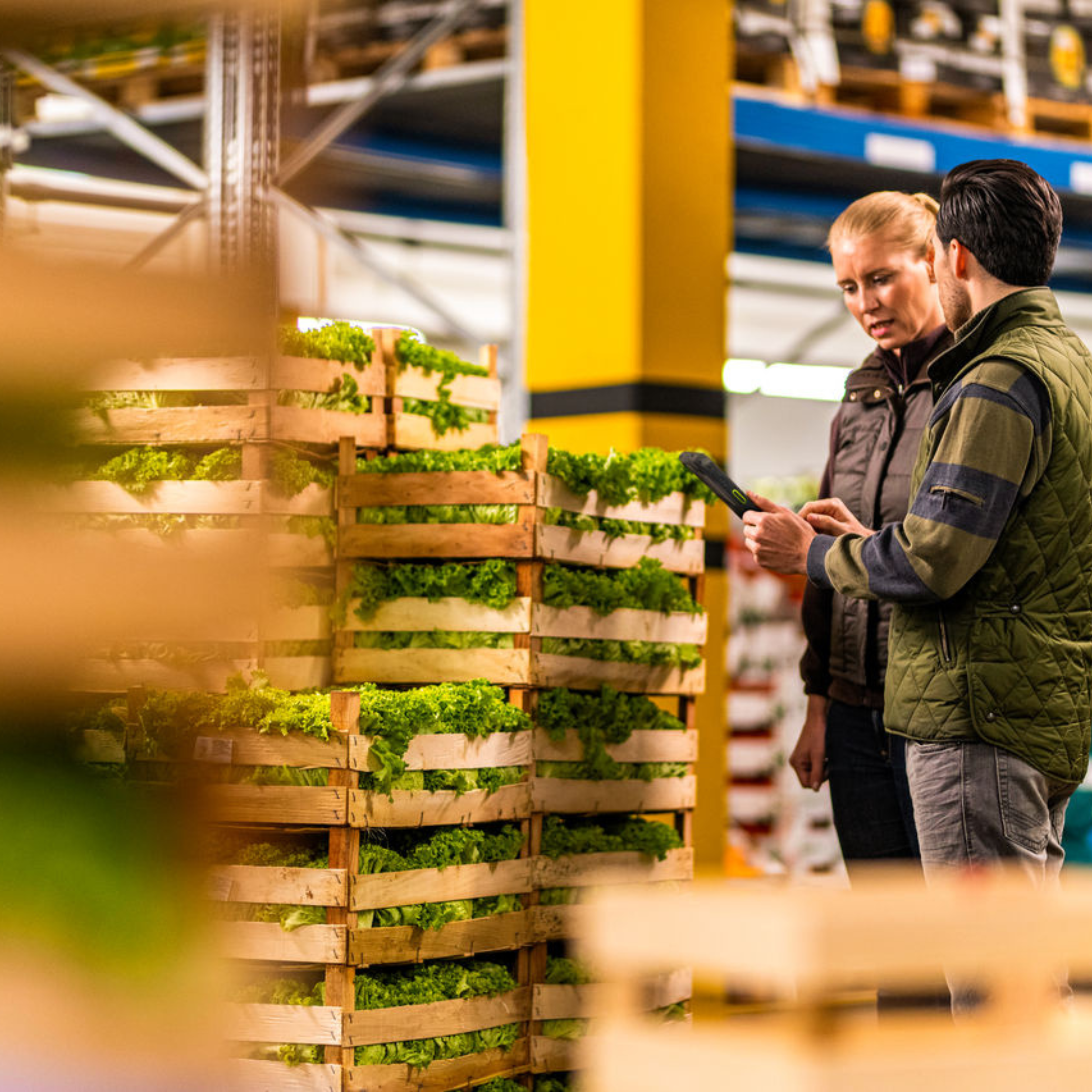 agriculture employees produce distribution with tablet