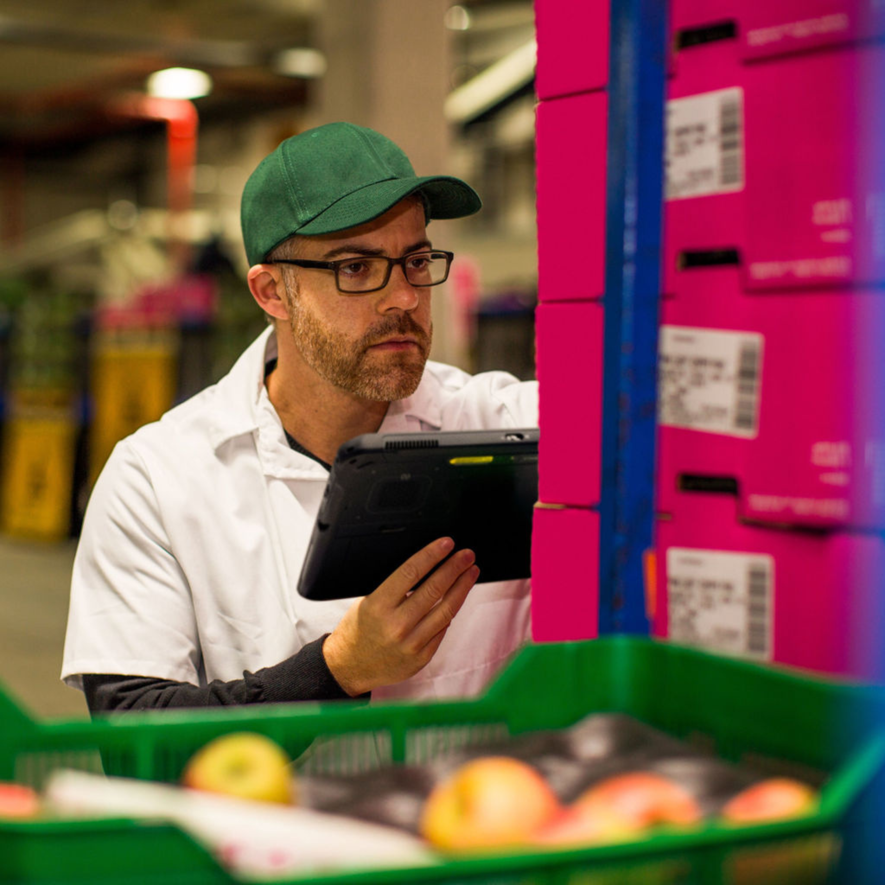 Agriculture worker checking produce with a tablet in the warehouse