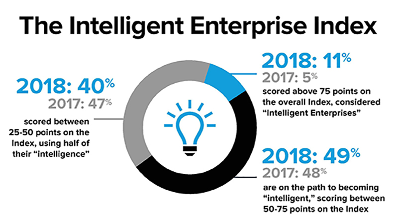 A snapshot of the 2018 Intelligent Enterprise Index results