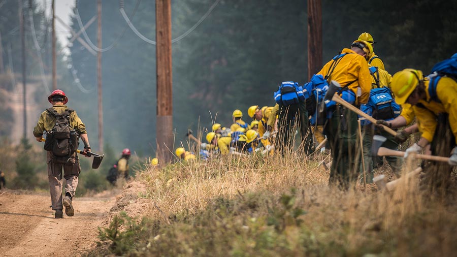 Firefighters on the scene of a forest wildfire