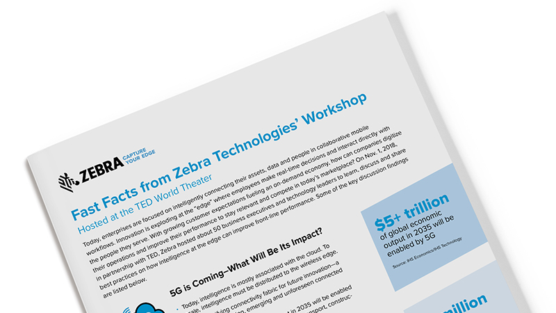 Zebra Technologies TED talks fact sheet preview image
