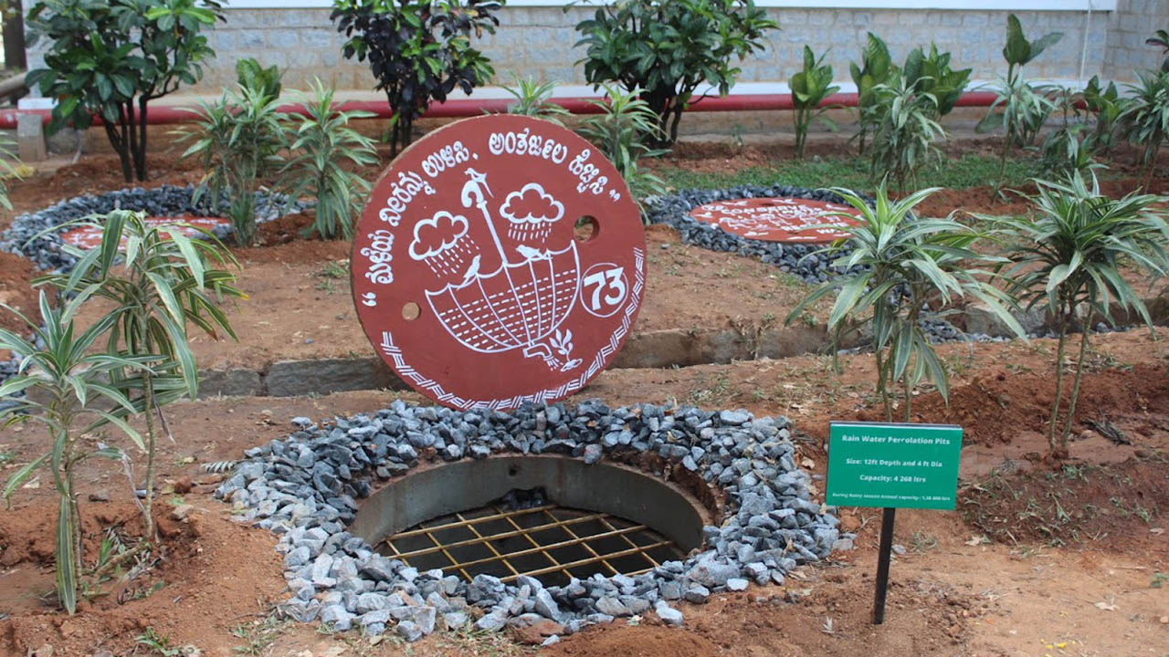 A water reclamation percolation pit created by Zebra employees as part of the One Billion Drops project