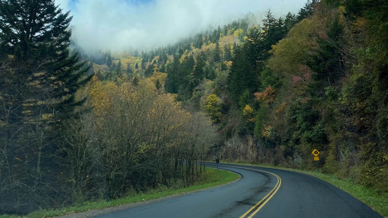 A tree-lined road in Tennessee